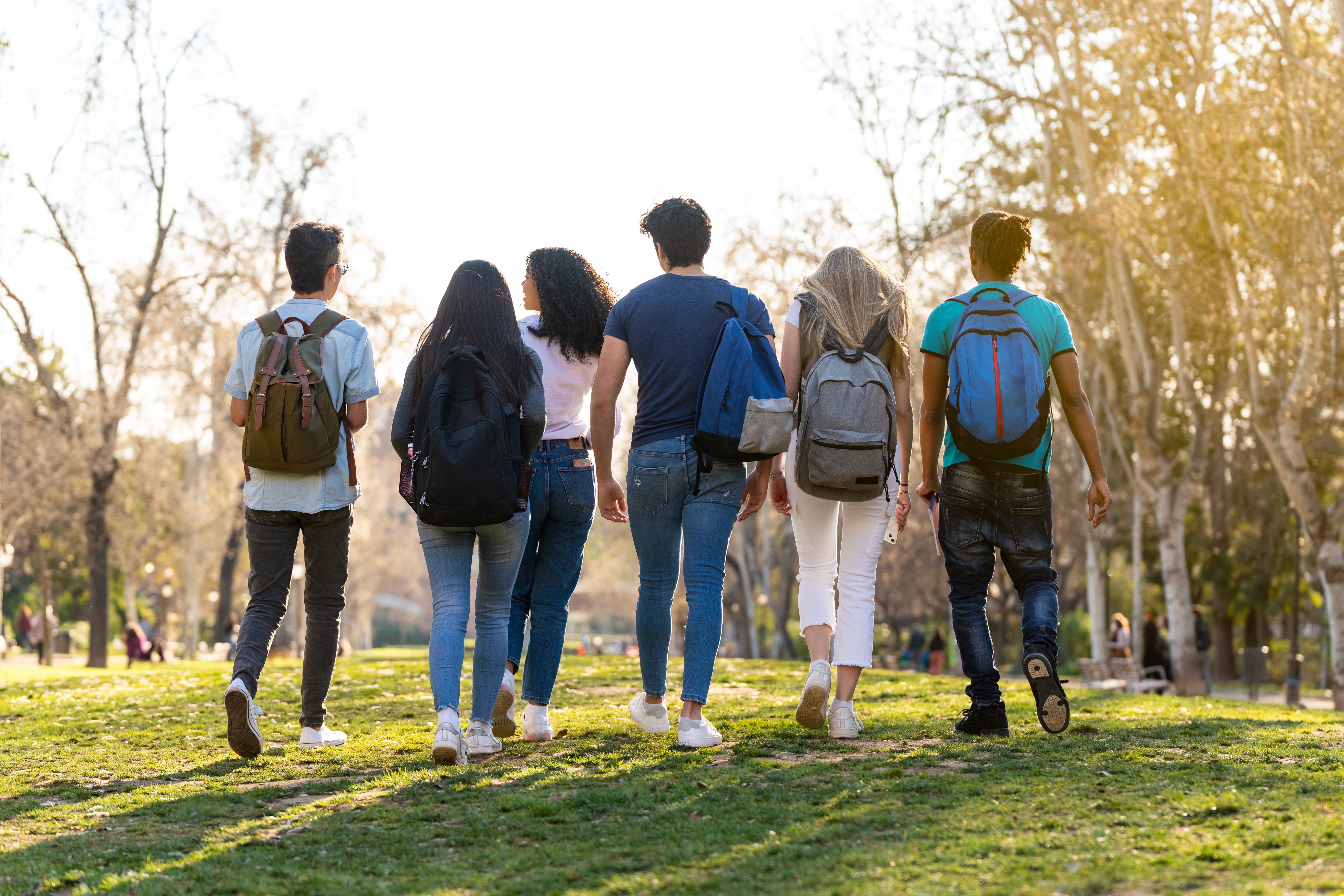 A row of young multi-ethnic students walking together in the park. Back view